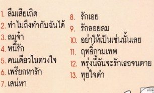 พัชรา แวงวรรณ - รวมมิวสิควีดีโอ พร้อมเนื้อร้อง VCD972-WEB2